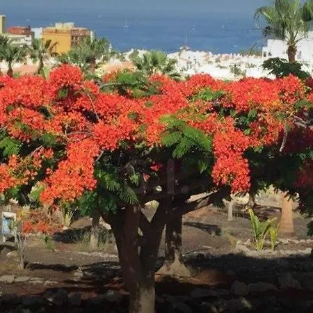 דירה Laguna Park Ii *