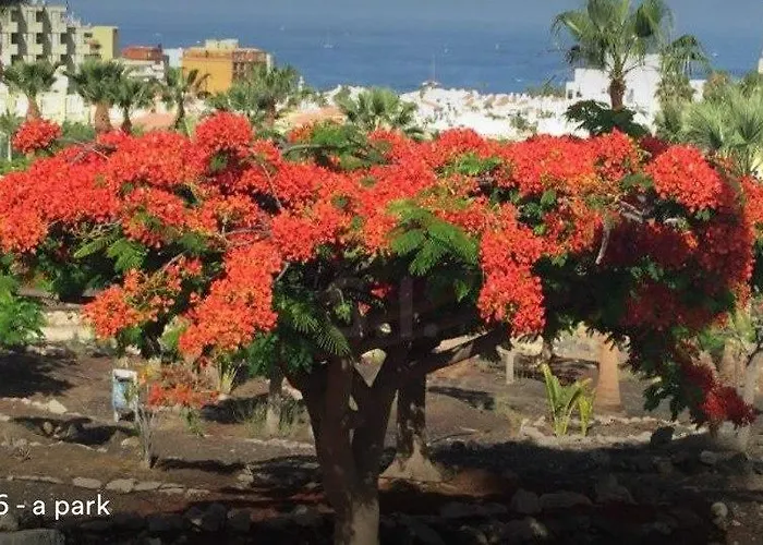 Daire Laguna Park Ii *